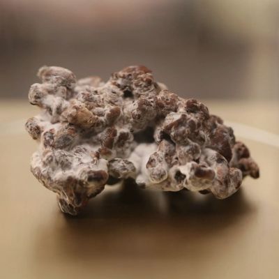 Magic truffels - microdosing veilig of niet