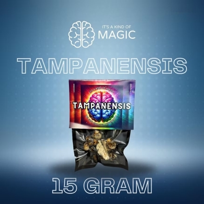magic truffels - tampanensis-min magic truffles
