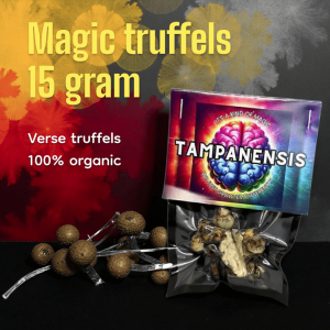 Tampanensis – Creatief, filosofisch, visueel