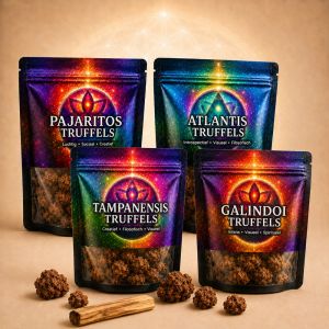 Truffle Assortment | 4 varieties + 2 pieces of holy wood