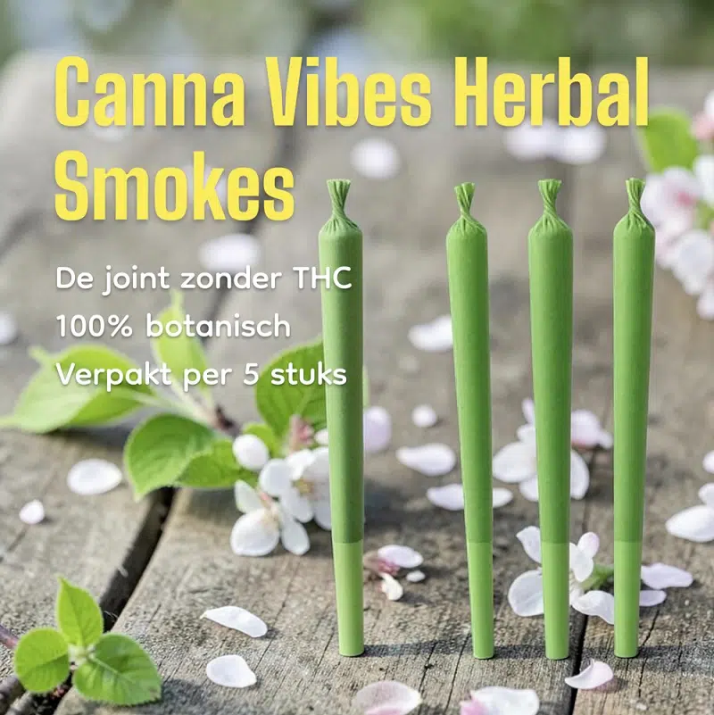 Canna Vibes herbal cigarettes
