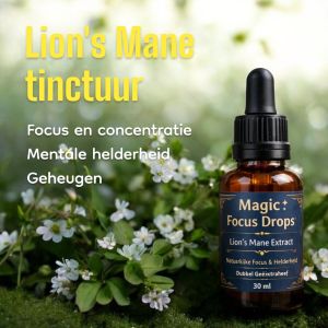 Lion`s Mane tinctuur | Inhoud 30ml