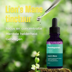 Lion's Mane Tincture | Volume: 30 ml
